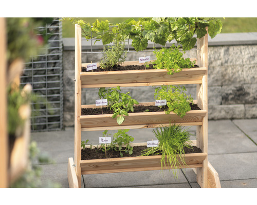 Jardinière surélevée en bois avec herbes et plantes