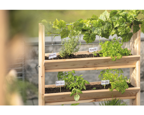Jardinière surélevée en bois avec des herbes aromatiques comme le basilic, le persil et le romarin