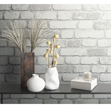 Arrangement décoratif de nature morte avec des vases, des plantes et des livres devant un mur de briques.