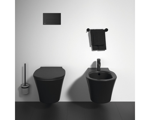 Badezimmer mit wandhängendem WC, Bidet, Betätigungsplatte, Handtuch und WC-Bürste