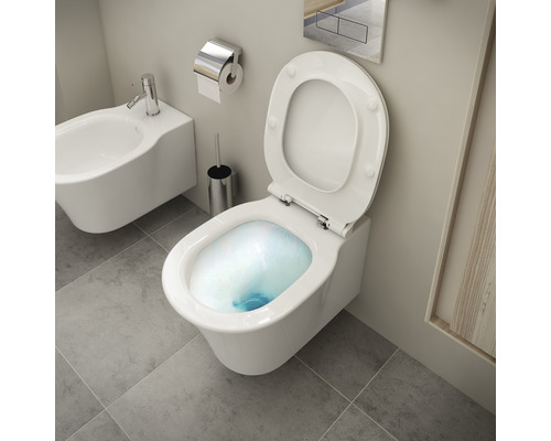 Salle de bains moderne avec WC suspendu, bidet, porte-papier toilette et brosse de toilette.