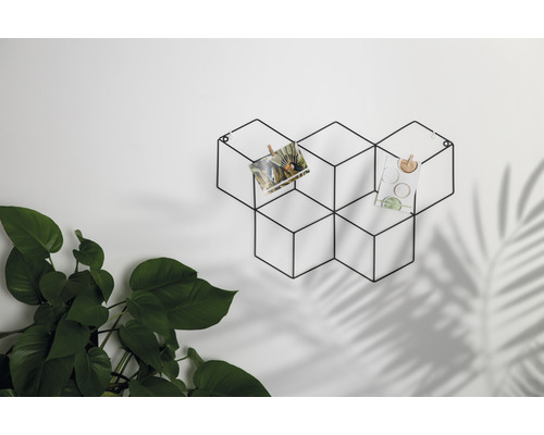 Support mural décoratif en métal avec photos et plante