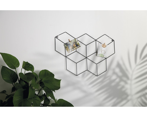 Décoration murale décorative avec des photos et des plantes