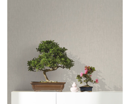 Zwei Bonsai-Bäume in Schalen auf einem weißen Möbelstück