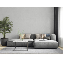 Modernes Wohnzimmer mit grauer Couch, Kissen, Tisch, Zimmerpflanze und Teppich