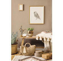 Dekoratives Wohnambiente mit Sitzbank, Kissen, Teppich und Accessoires