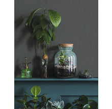 Dekorative Pflanzen in Glasgefäßen auf einem Regal