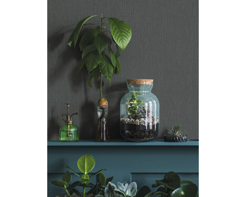 Dekorative Pflanzen in Glasgefäßen auf einem Regal