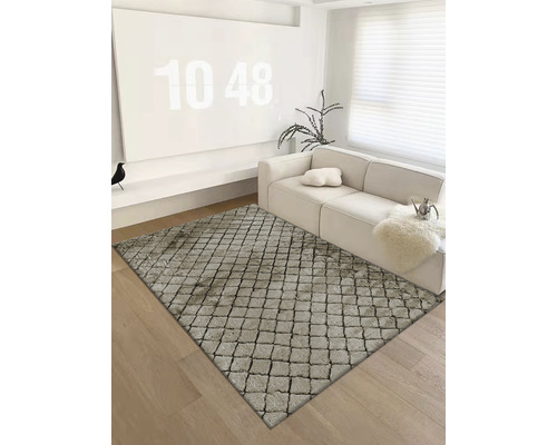 Wohnzimmer mit Teppich im Pflastersteinmuster, Sofa und Dekor.