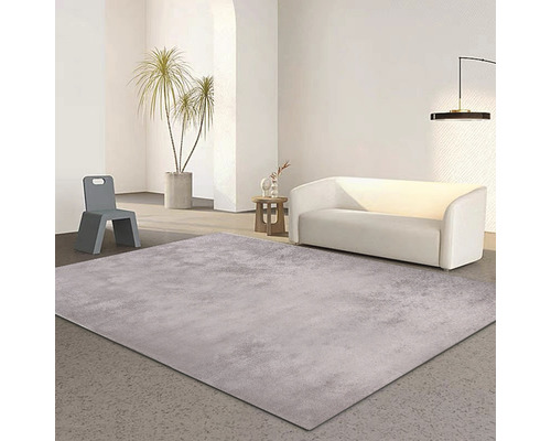 Pièce lumineuse avec tapis, canapé, chaise et plante d''intérieur