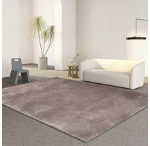Salon avec un tapis brun, un canapé blanc et une chaise grise.