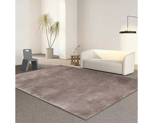 Salon avec un tapis brun, un canapé blanc et une chaise grise.