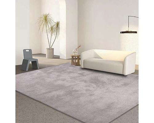 Salon lumineux avec tapis, canapé et chaise