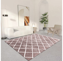 Wohnzimmer mit Sofa, Sessel, Zimmerpflanze und Teppich mit Rautenmuster