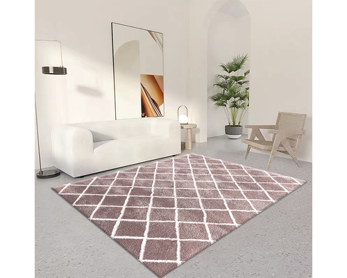 Wohnzimmer mit Sofa, Sessel, Zimmerpflanze und Teppich mit Rautenmuster