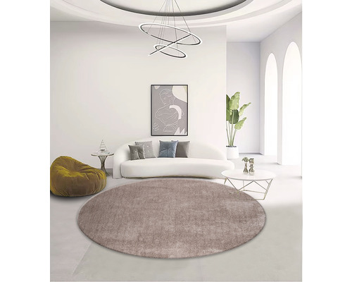 Salon avec tapis rond, canapé et décoration