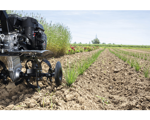 Motobineuse travaillant le sol dans un champ