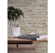 Gros plan d''un mur avec un motif de pierre, décoré d''une plante d''intérieur dans un récipient en tissu, de livres et d''une étagère en bois.