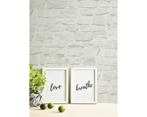 Intérieur avec papier peint en pierre, images et plante