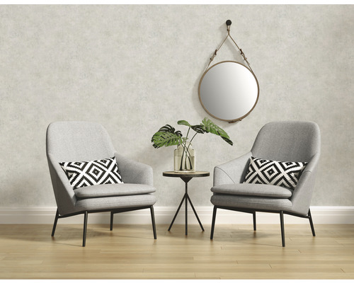 Salon avec deux fauteuils, table d''appoint, miroir et plante d''intérieur