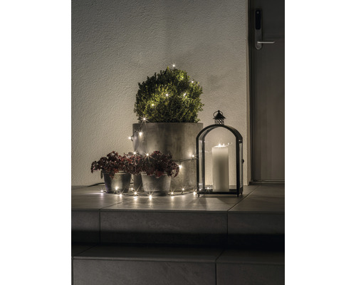 Décoration avec plantes en pot, photophore et guirlande lumineuse à l''extérieur