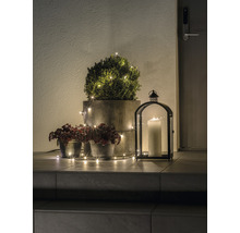 Scène décorative avec des plantes en pot, une guirlande lumineuse et une lanterne avec une bougie sur un escalier.