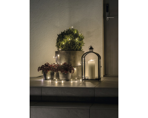 Scène décorative avec des plantes en pot, une guirlande lumineuse et une lanterne avec une bougie sur un escalier.