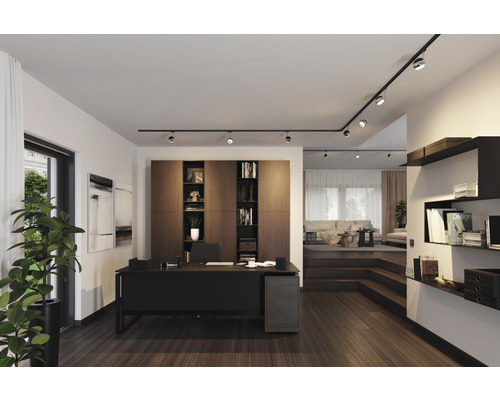 Büroraum mit Schreibtisch, Regalen und Beleuchtungssystem