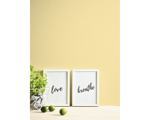 Scène décorative avec deux reproductions d''art encadrées, une plante en pot et des citrons verts sur un mur coloré