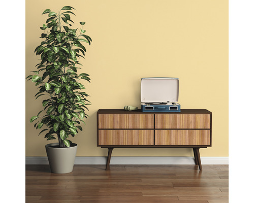 Scène de salon avec commode, plante d''intérieur et tourne-disque