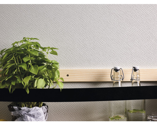 Scène décorative avec plant de basilic et bouteilles en verre au mur