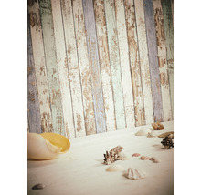 Coquillages décoratifs sur fond en bois