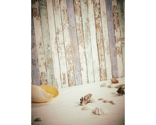 Dekorative Muscheln auf Holzuntergrund