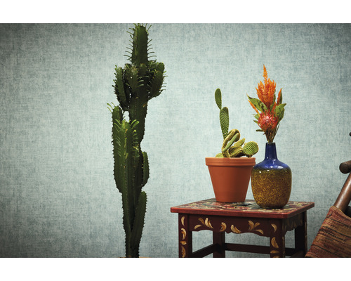 Dekorative Kakteen in Töpfen und Blumen in einer Vase auf einem kleinen Tisch