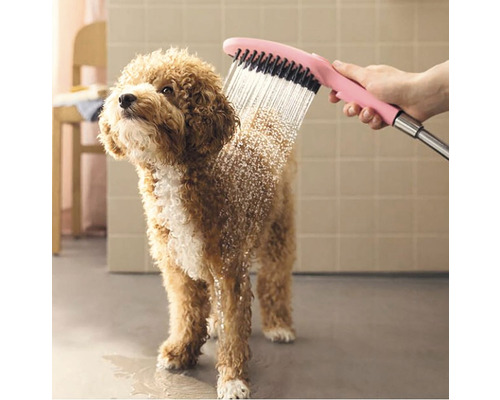 Un chien est baigné avec une douche à brosse