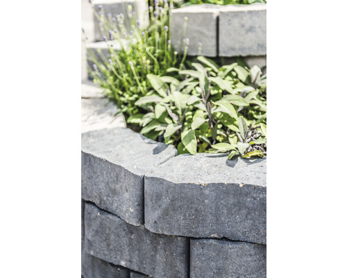 Vue détaillée d''un mur de jardin en pierres de béton grises avec des plantes