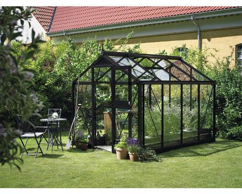 Gewächshaus mit Pflanzen in einem Garten