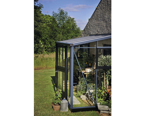 Gewächshaus mit Pflanzen auf Rasenfläche