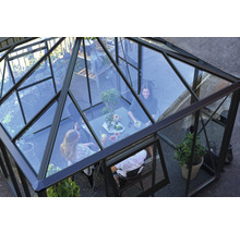 Serre Juliana Oasis en verre de sécurité 3 mm 296 x 296 cm anthracite noir