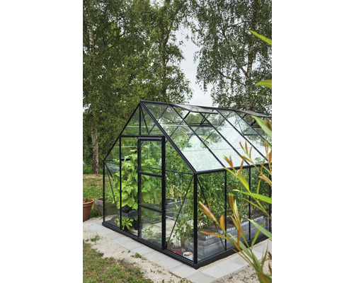 Serre avec des plantes dans le jardin