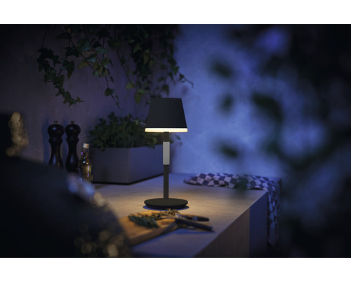 Lampe de table décorative sur un plan de travail avec des herbes aromatiques, des moulins à épices et une plante en arrière-plan