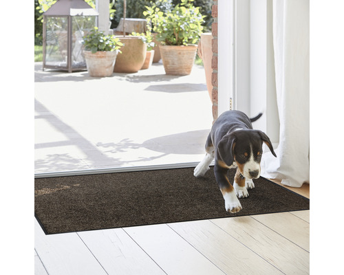 Paillasson dans l''entrée avec un chiot dessus.