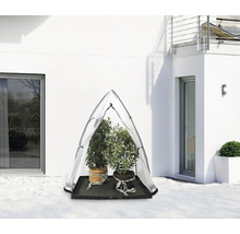 Pflanzenschutz Zelt mit zwei Topfpflanzen auf einem Tablett im Schnee