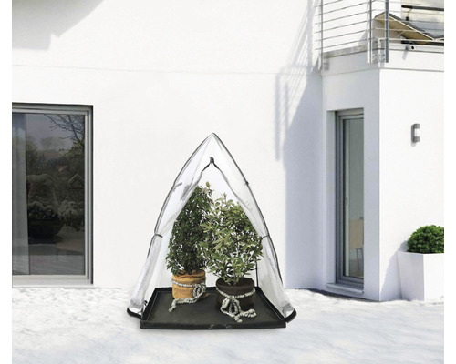 Pflanzenschutz Zelt mit zwei Topfpflanzen auf einem Tablett im Schnee