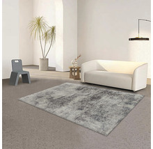 Salon avec tapis, canapé, chaise et plante d''intérieur