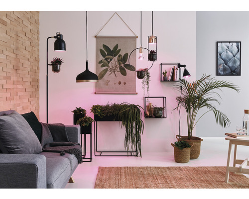 Wohnzimmer mit Sofa, Zimmerpflanzen, Hängeleuchten und Wanddekoration