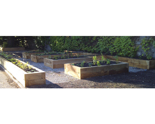 Plusieurs parterres de jardin surélevés en bois avec des plantes dans une cour.
