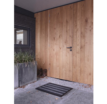Espace d''entrée avec porte en bois, paillasson et bac à plantes