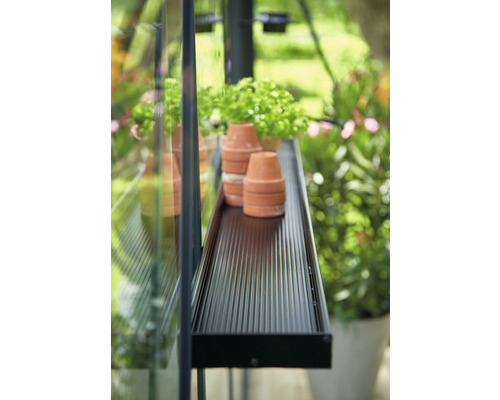 Étagère avec pots en terre cuite dans la serre