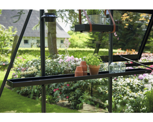 Vue intérieure d''une serre avec étagères et plantes